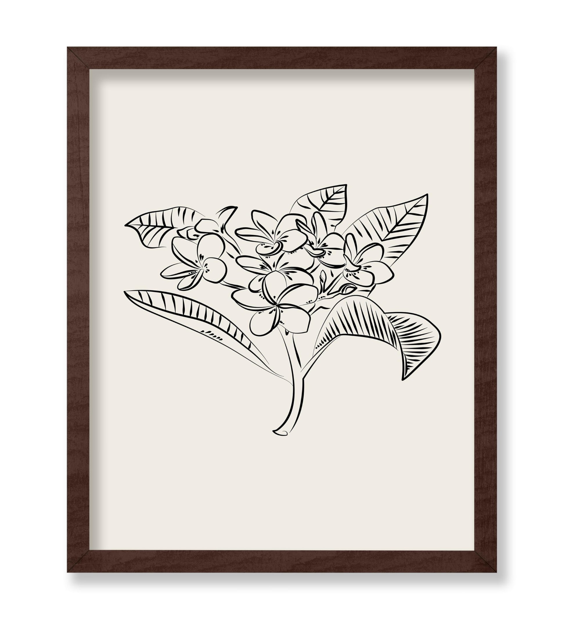 Plumeria Flower Sketch