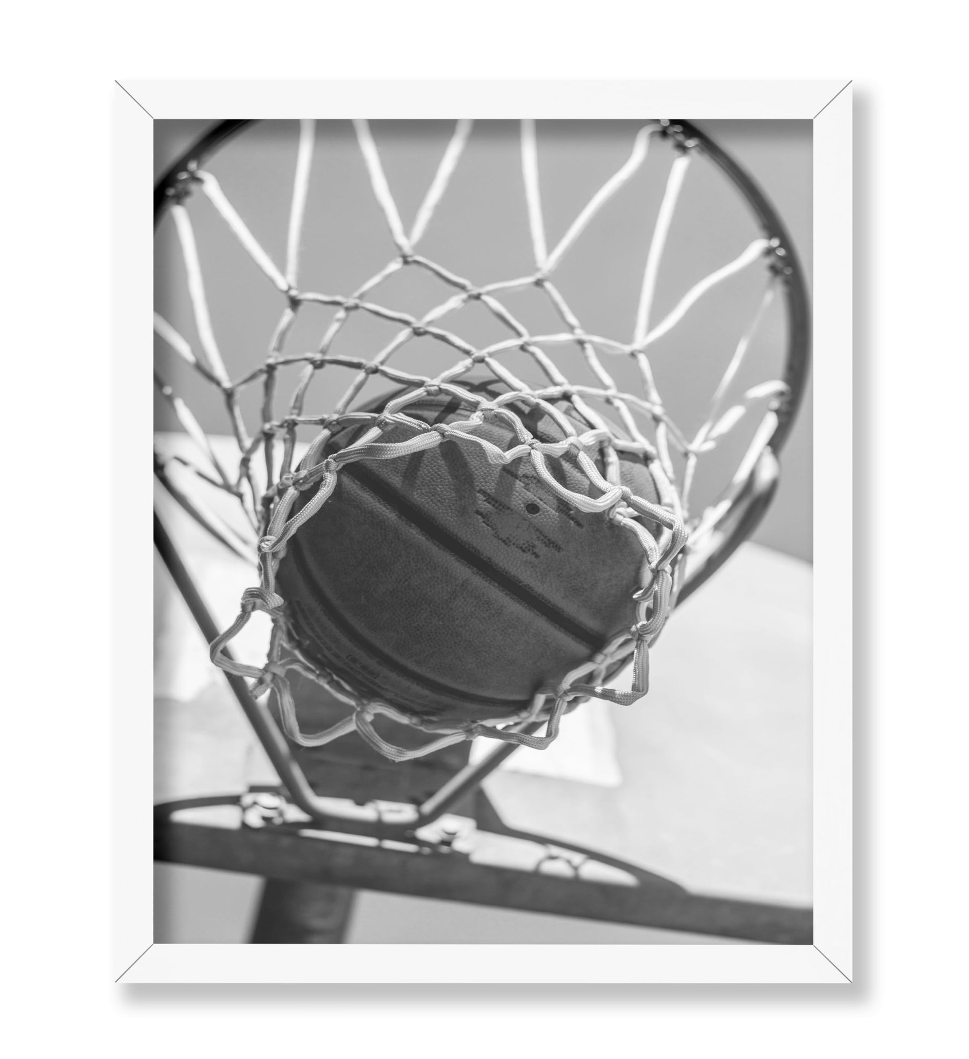 Ball in the Hoop