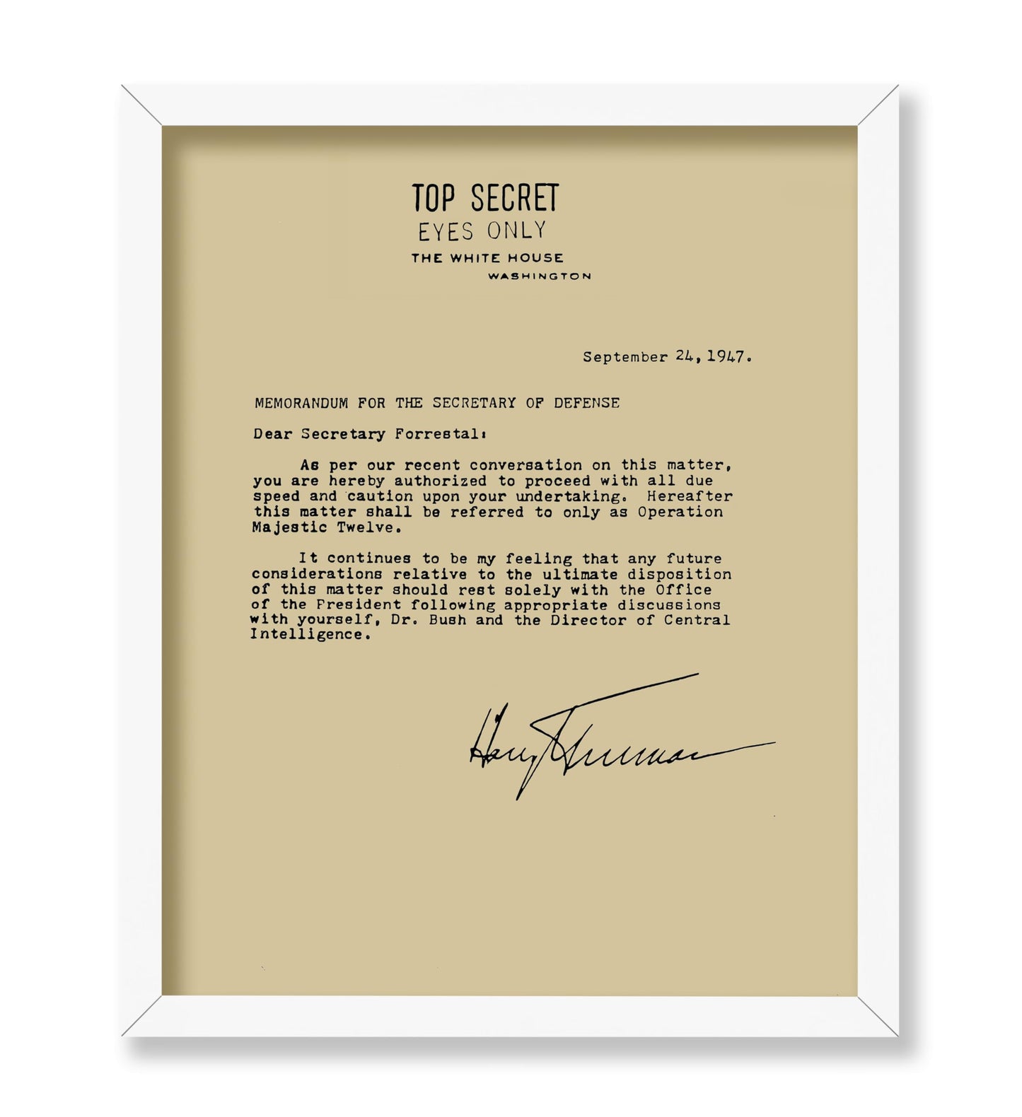 Memorandum For The Secretary