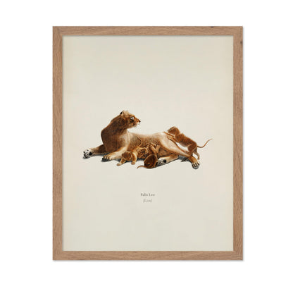 Lion & Cub