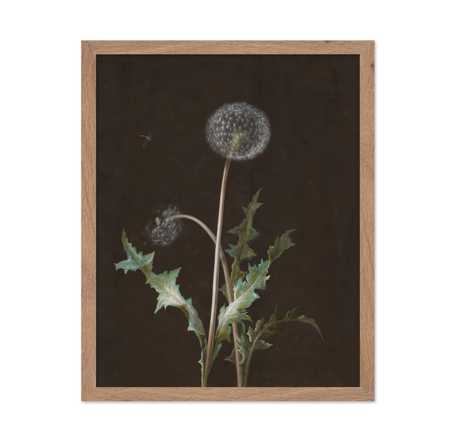 Dandelion