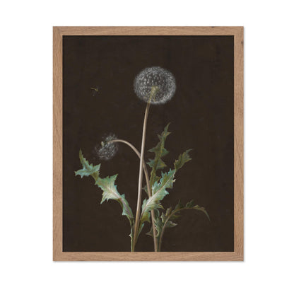 Dandelion