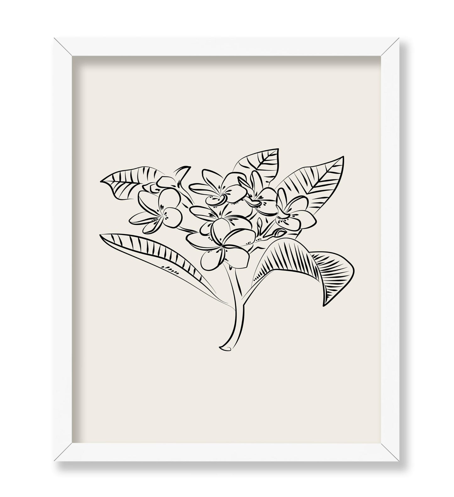 Plumeria Flower Sketch