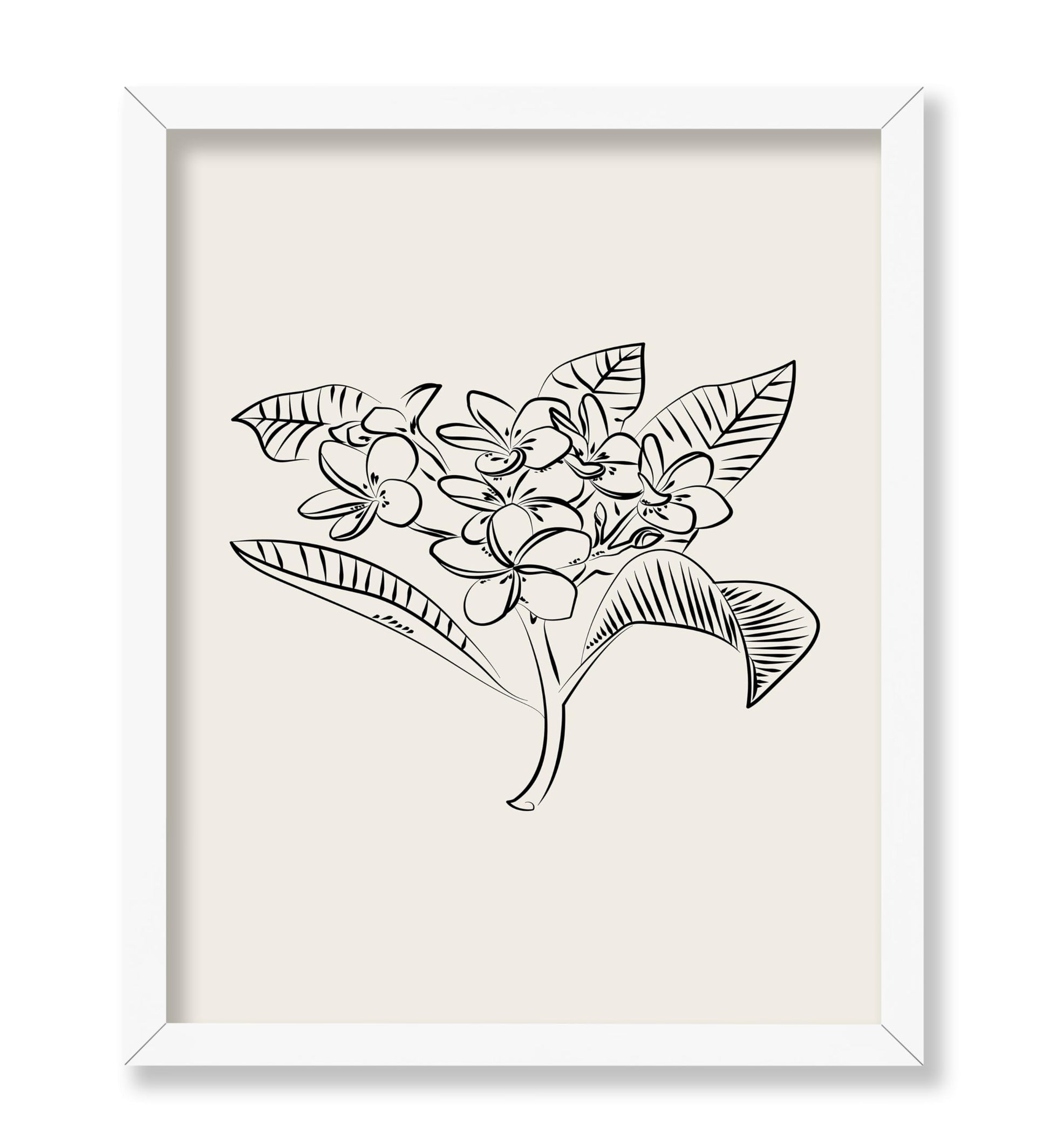 Plumeria Flower Sketch
