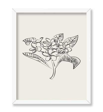 Plumeria Flower Sketch