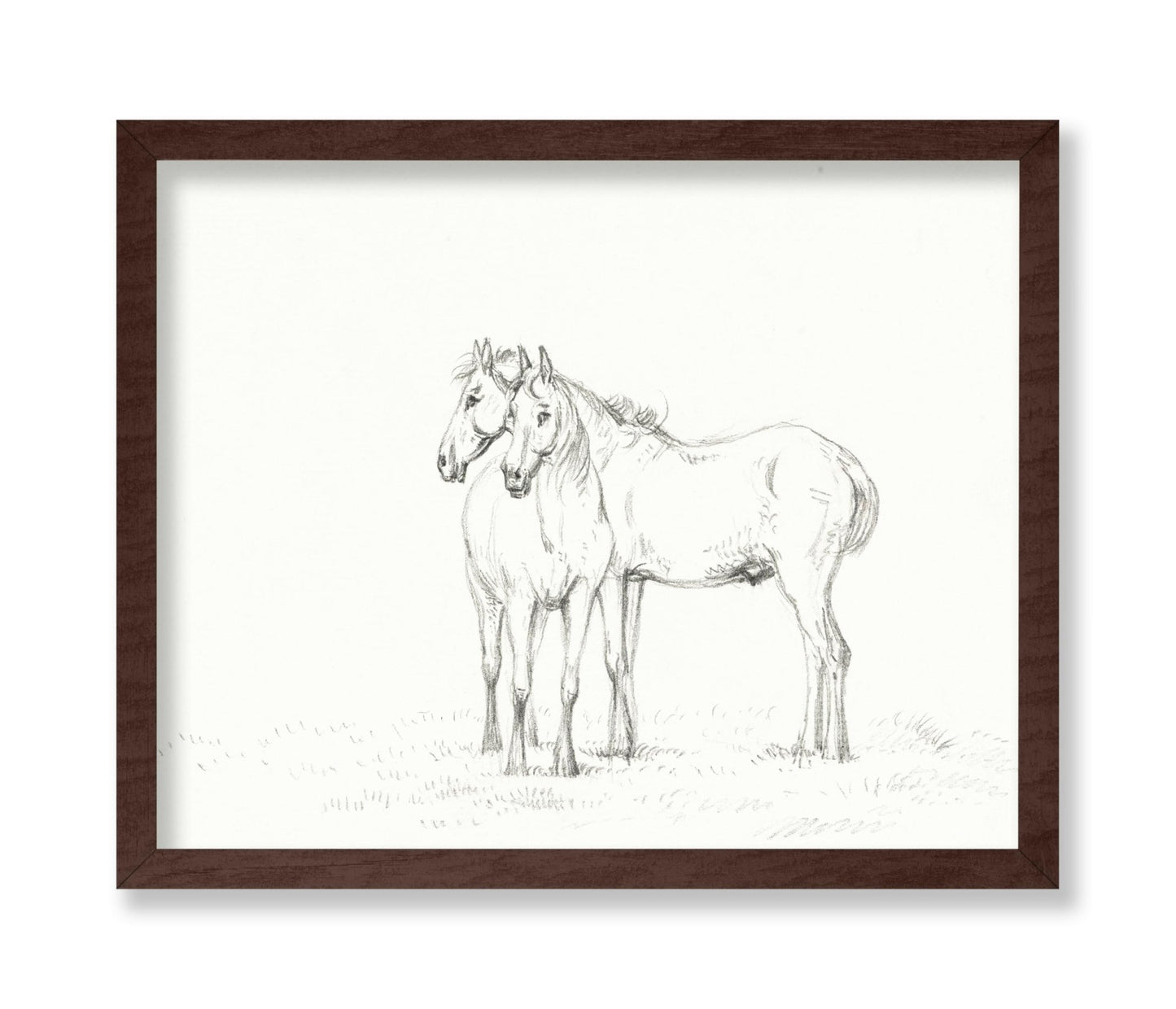 Two Horses Sketch
