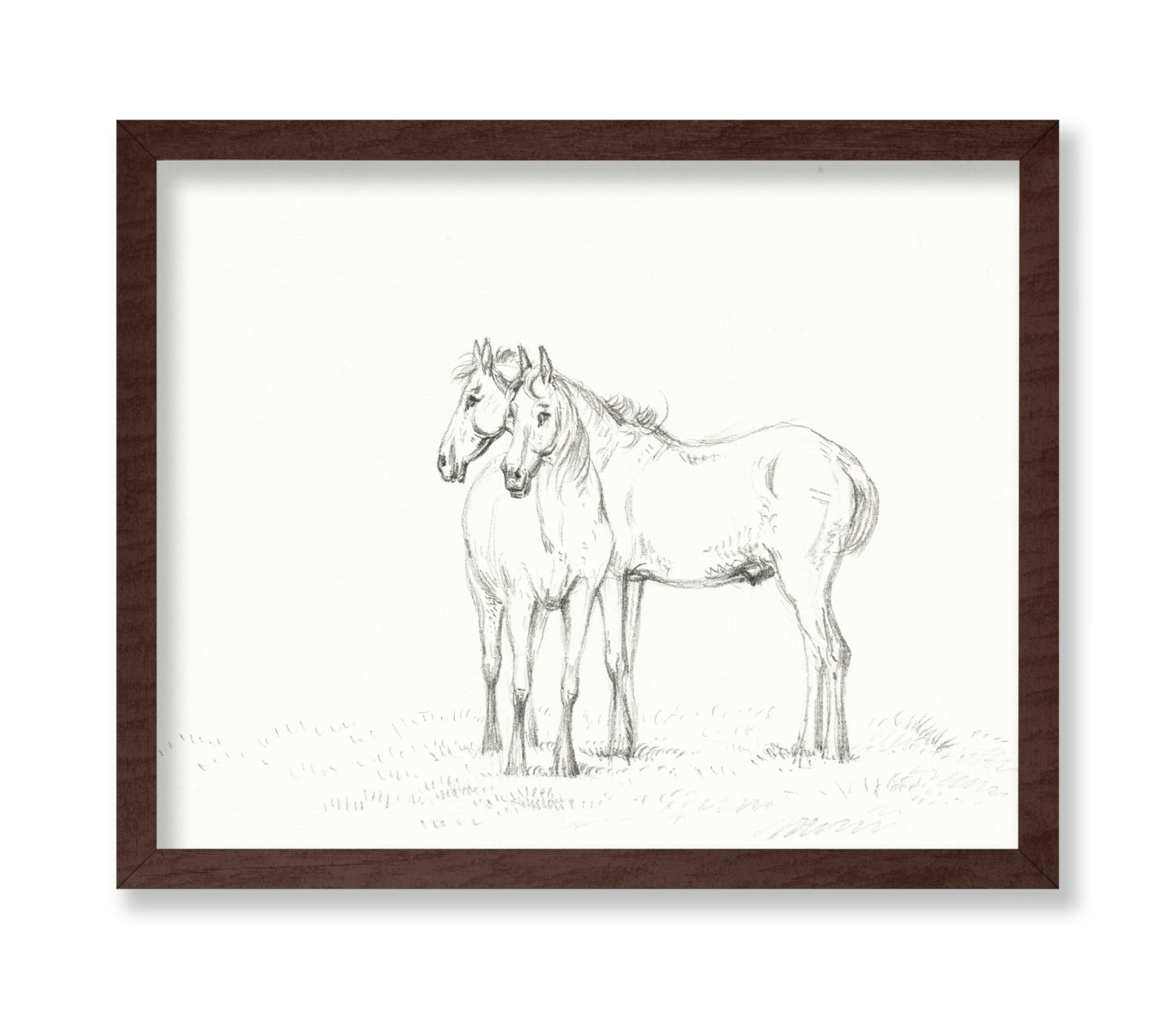Two Horses Sketch