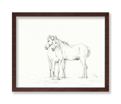 Two Horses Sketch