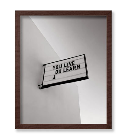 You Live You Learn