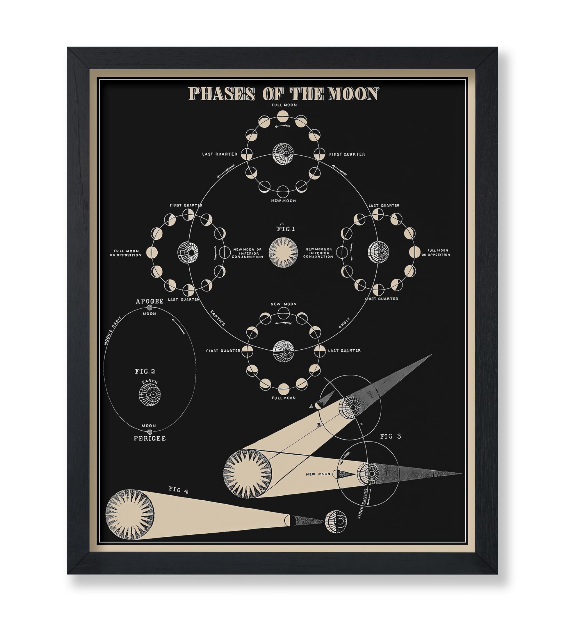 Phases of the Moon No1