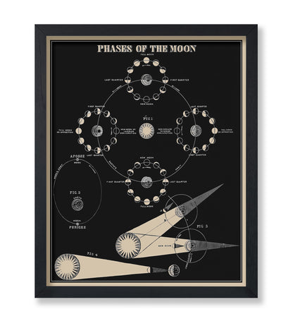 Phases of the Moon No1