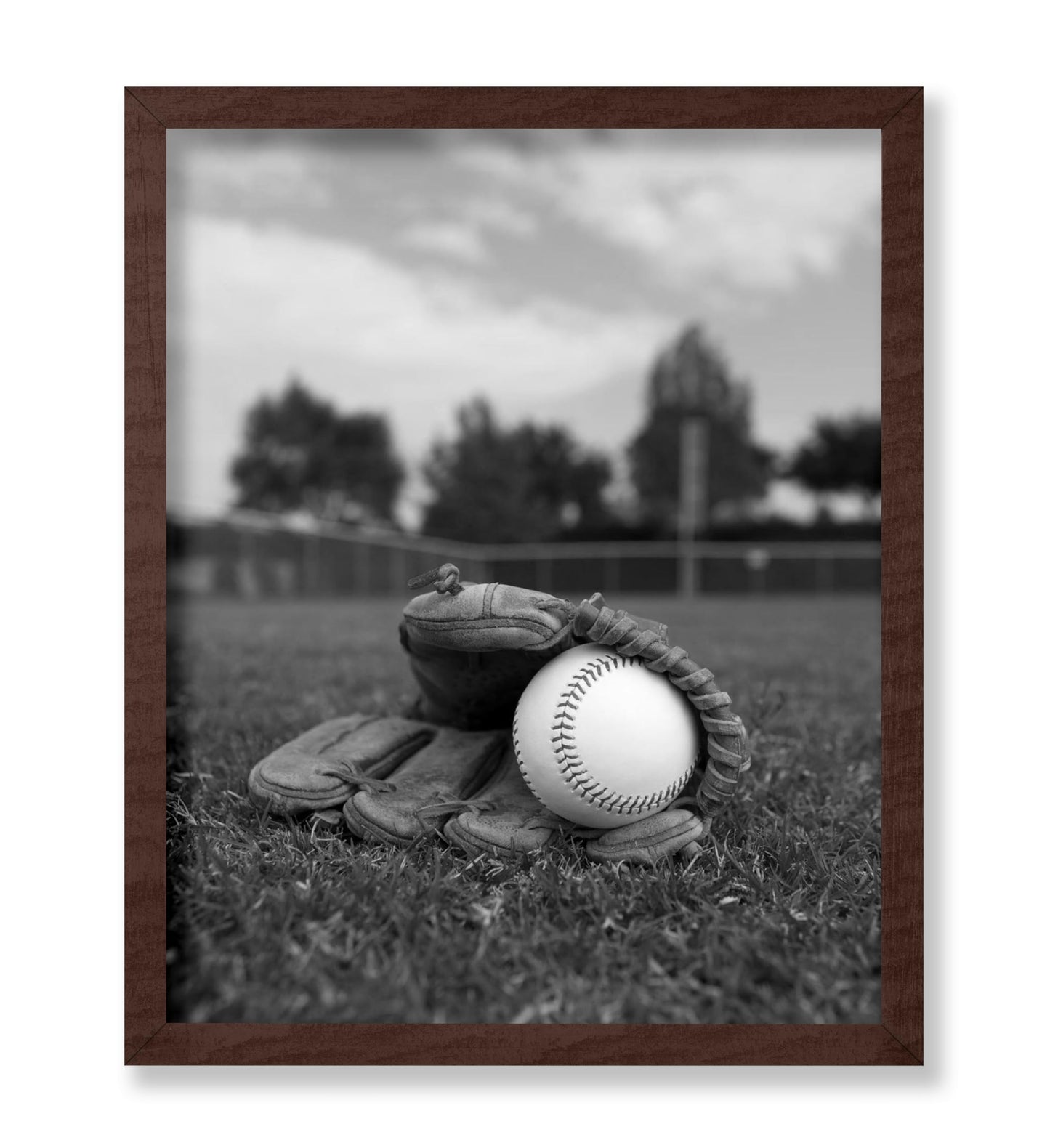 Baseball Glove