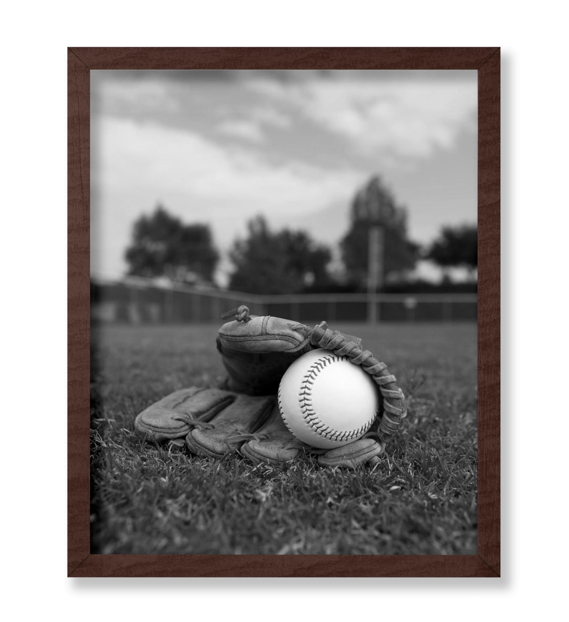 Baseball Glove