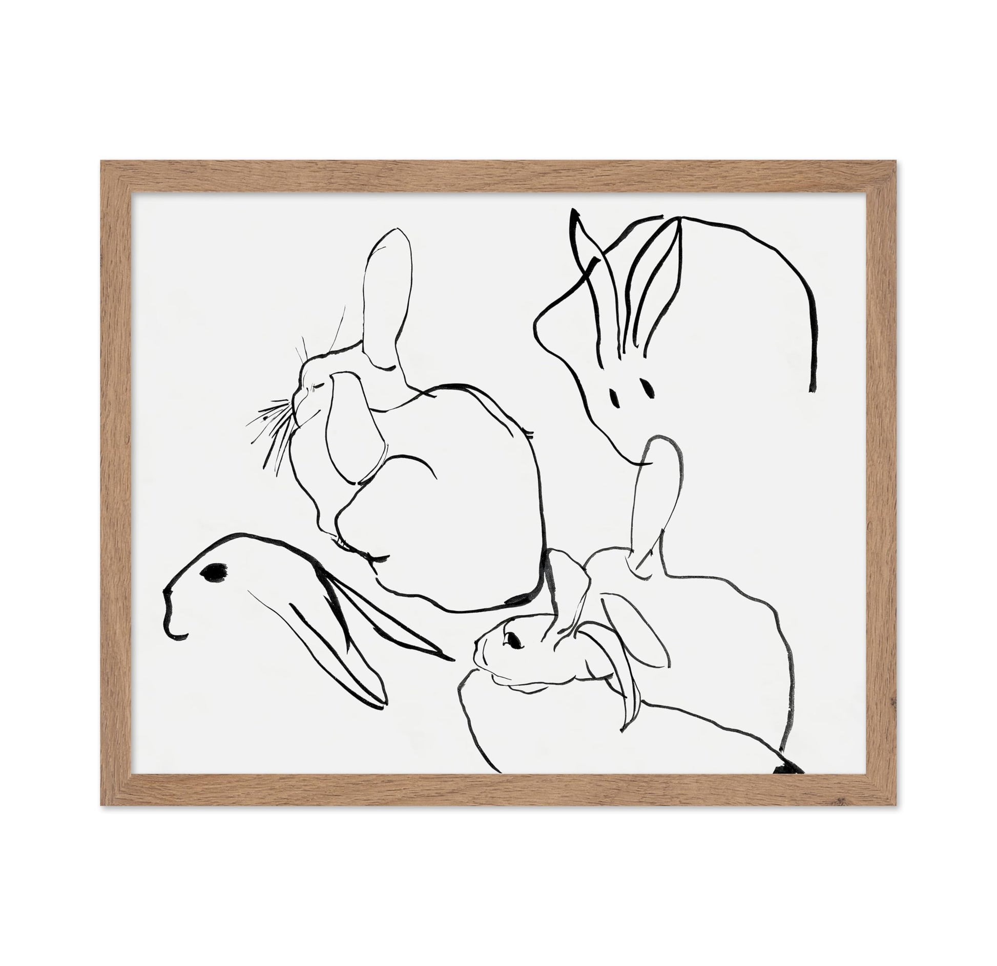 Line Drawing of Bunnies
