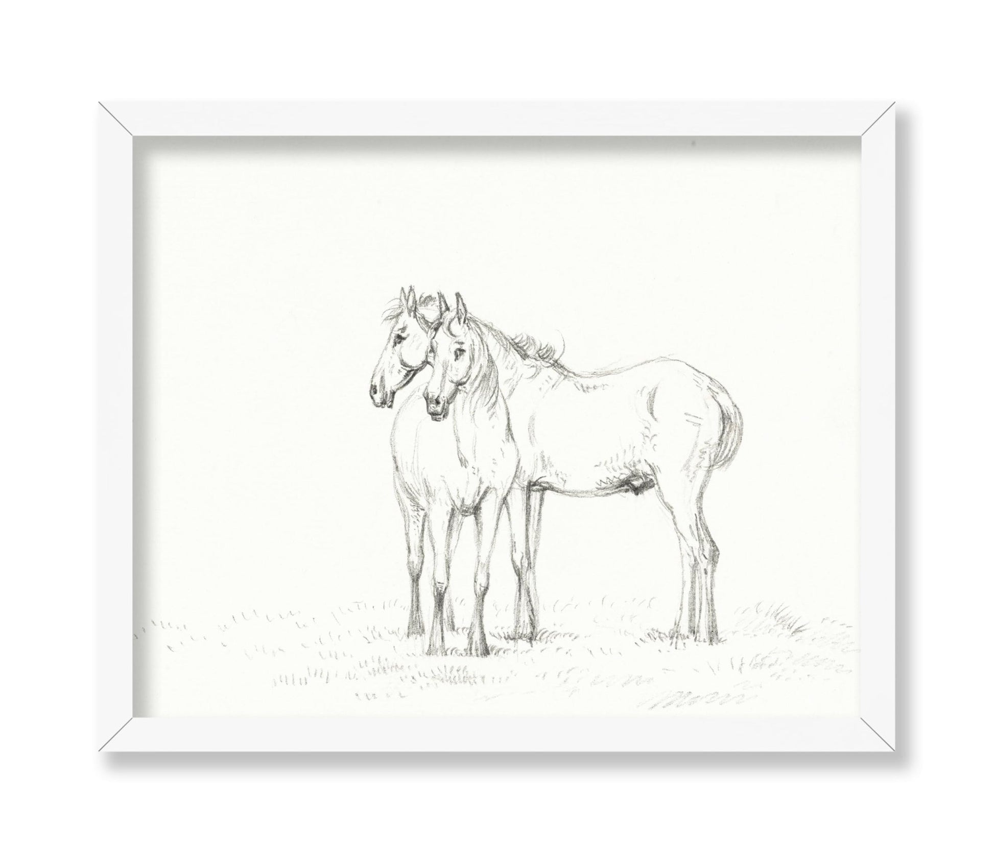 Two Horses Sketch