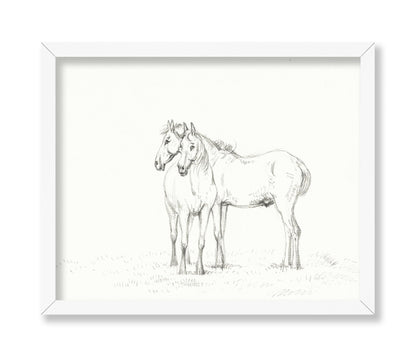 Two Horses Sketch
