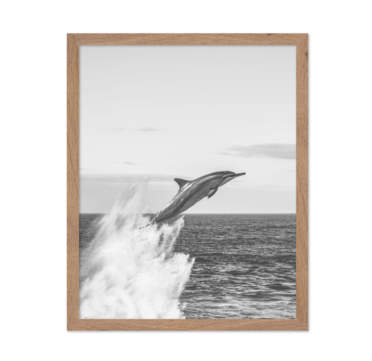Jumping Dolphin