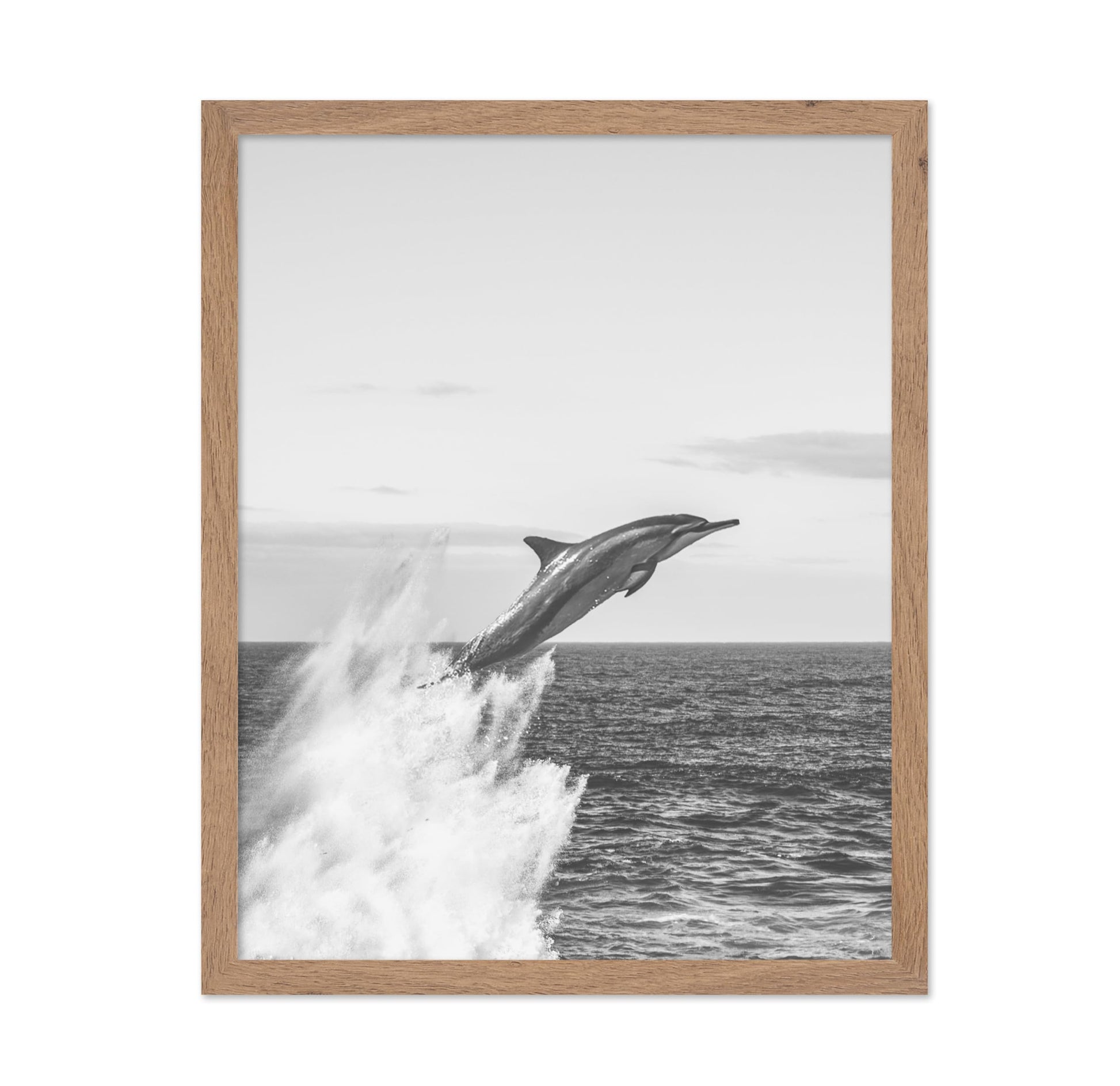Jumping Dolphin