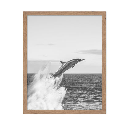 Jumping Dolphin