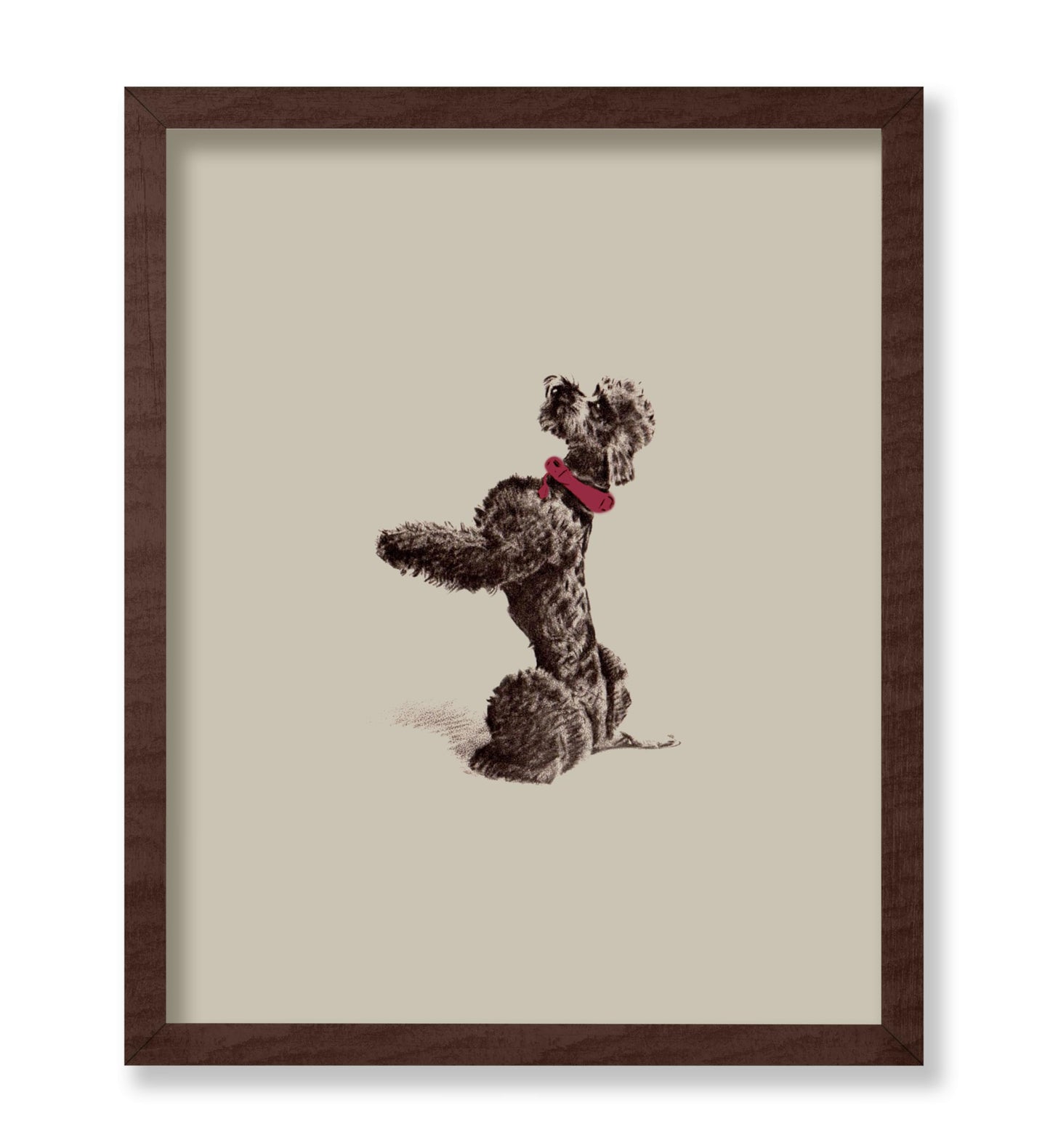 Vintage Poodle