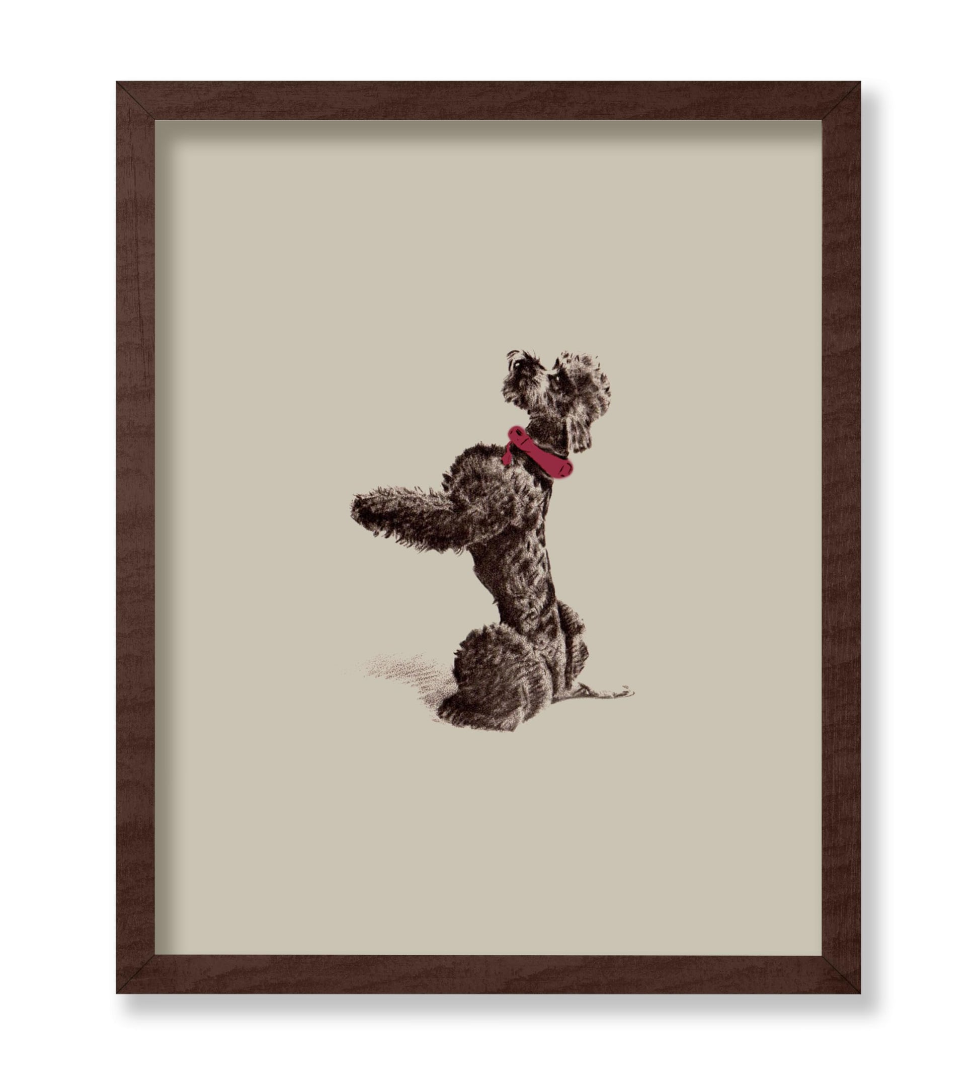Vintage Poodle