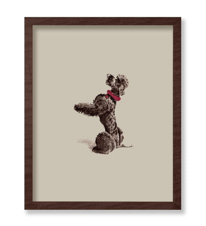 Vintage Poodle