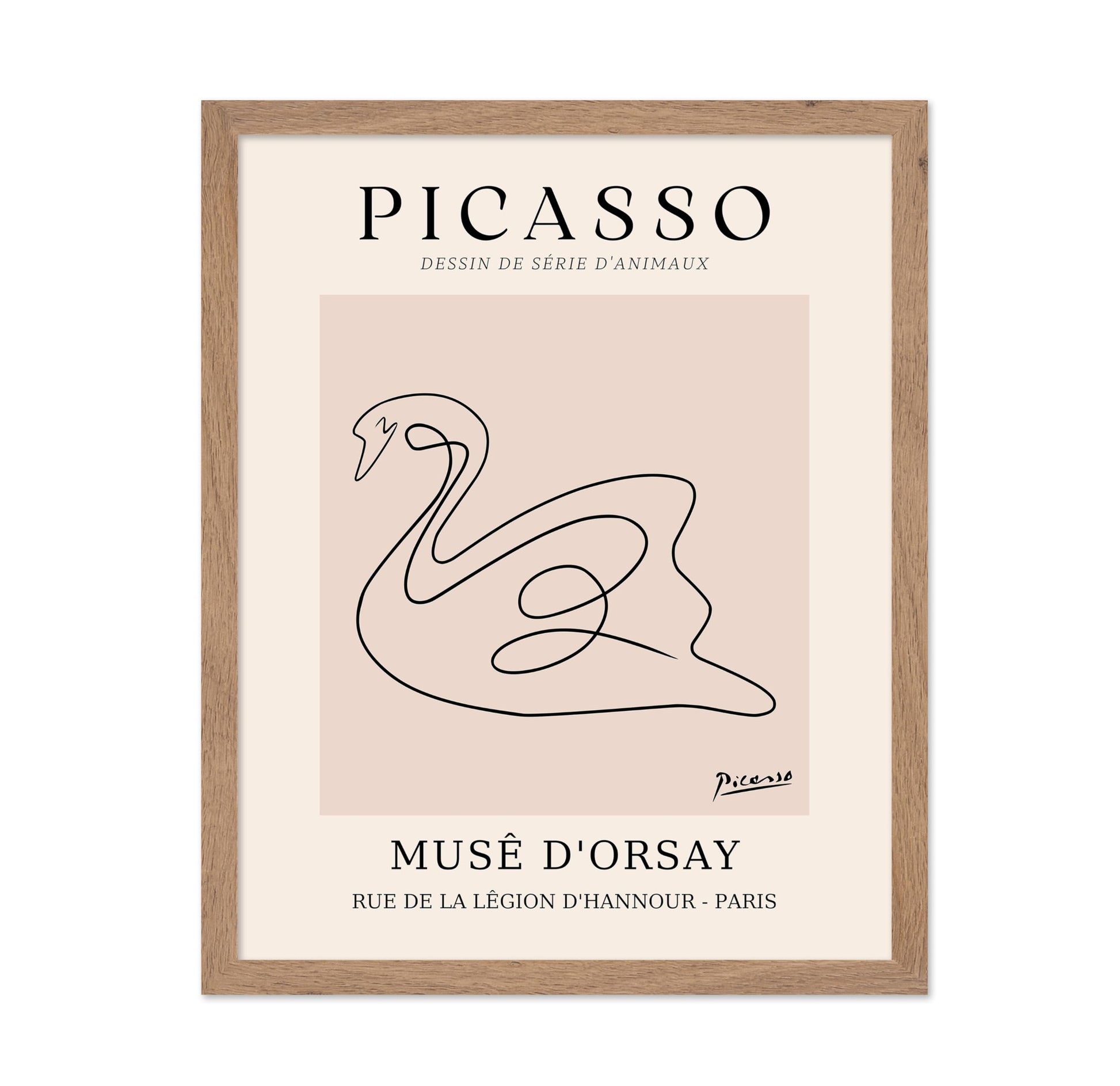 Picasso - One Line Swan Drawing