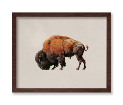 Bison Bull