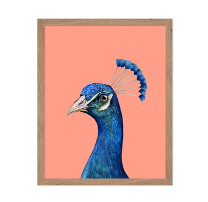 Peacock Portrait