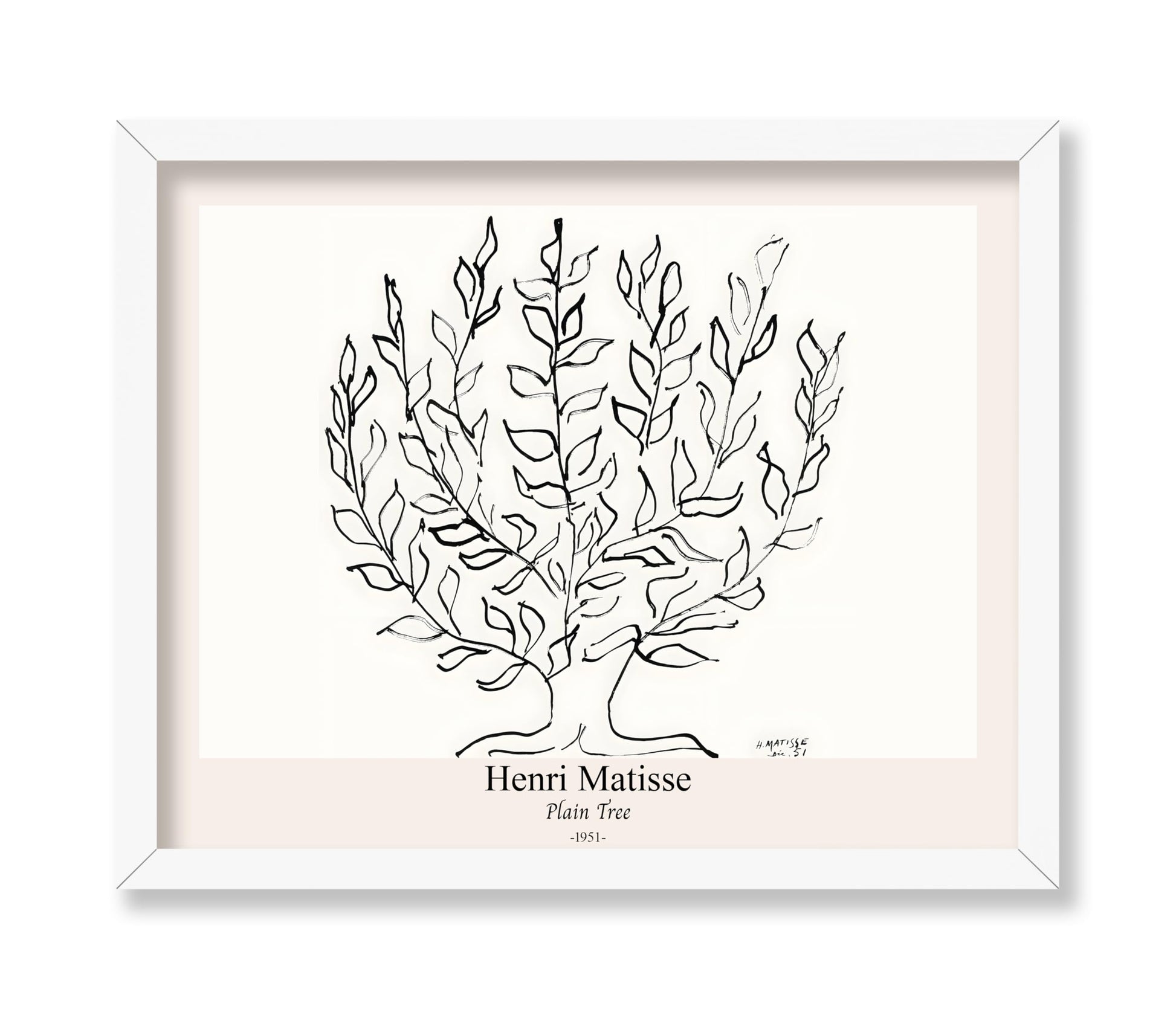 Henri Matisse - Plain Tree