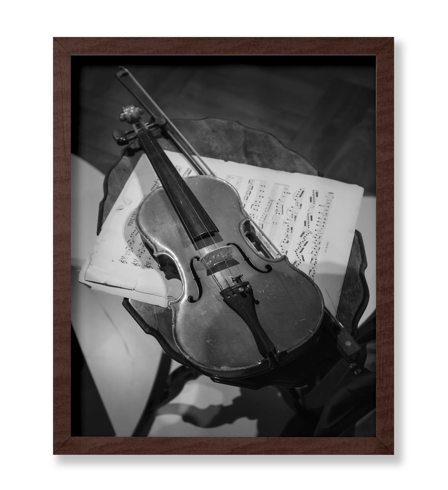 Violin Photography
