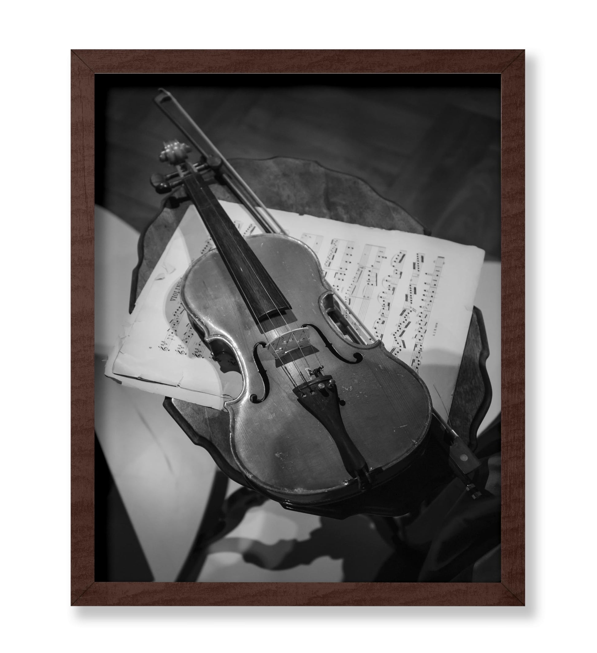 Violin Photography
