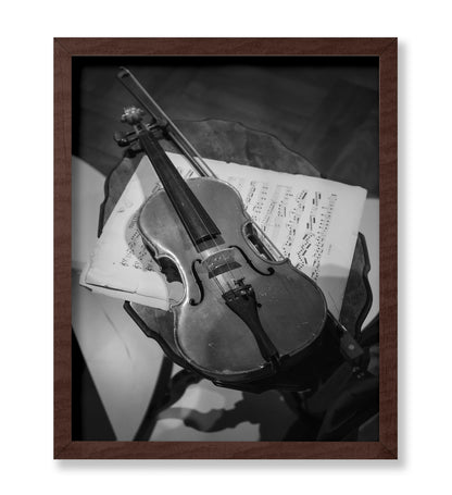 Violin Photography