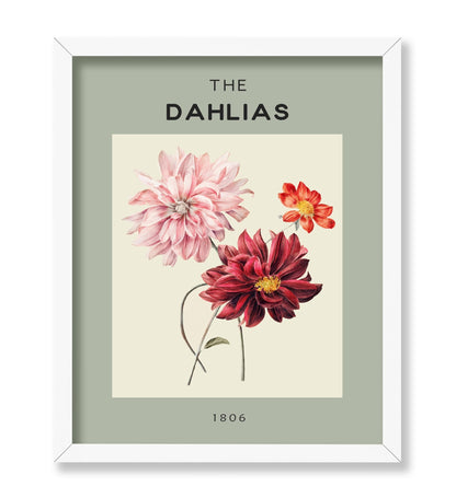 The Dahlias