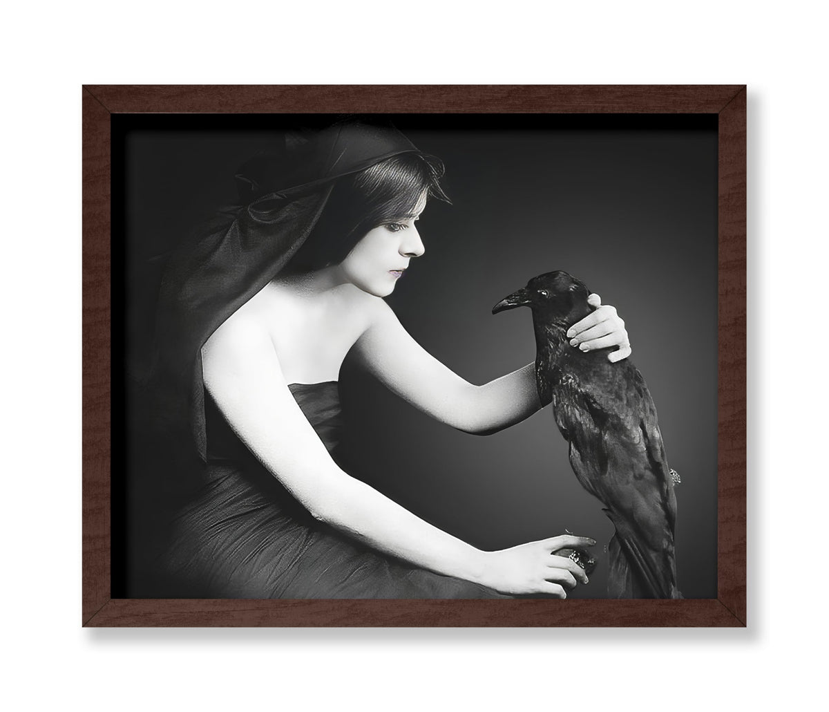 Black Raven