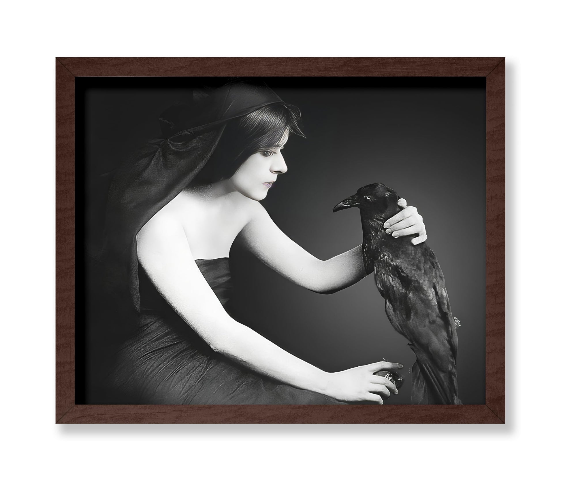 Black Raven