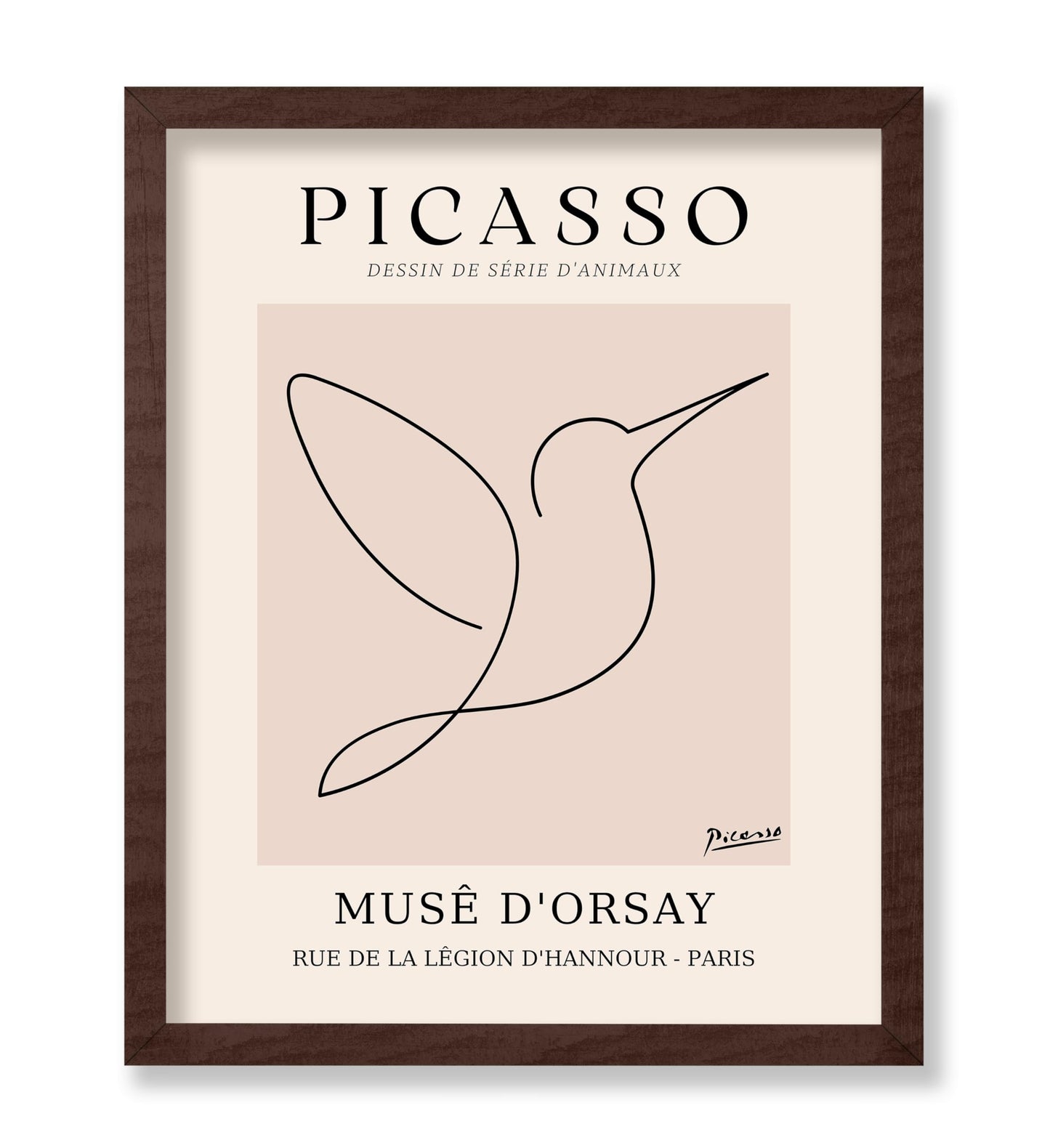 Picasso - One Line Hummingbird Drawing
