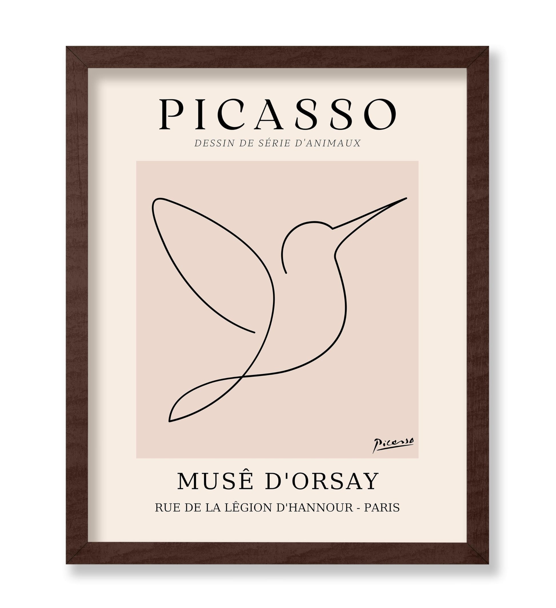 Picasso - One Line Hummingbird Drawing