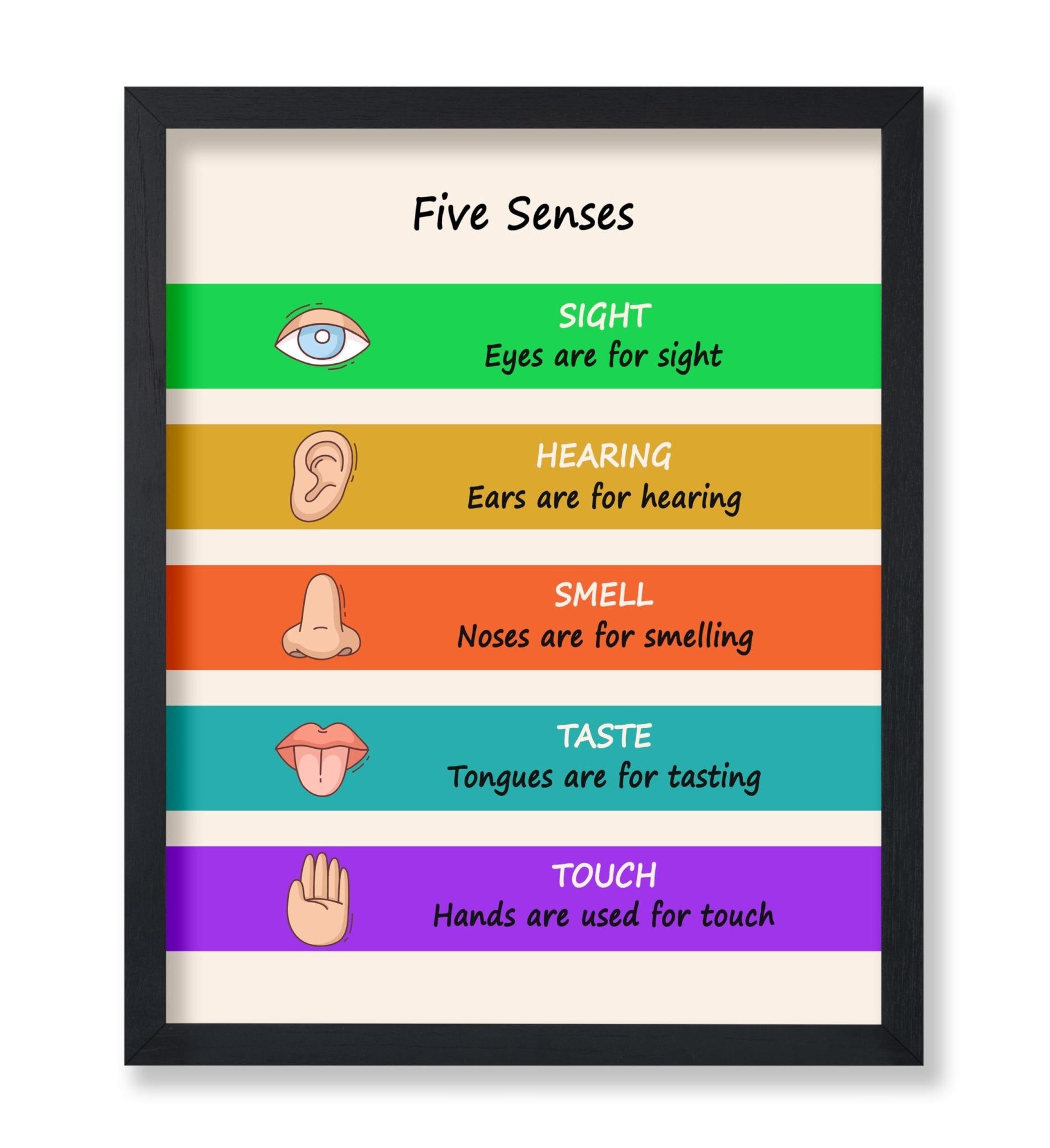 Five Senses
