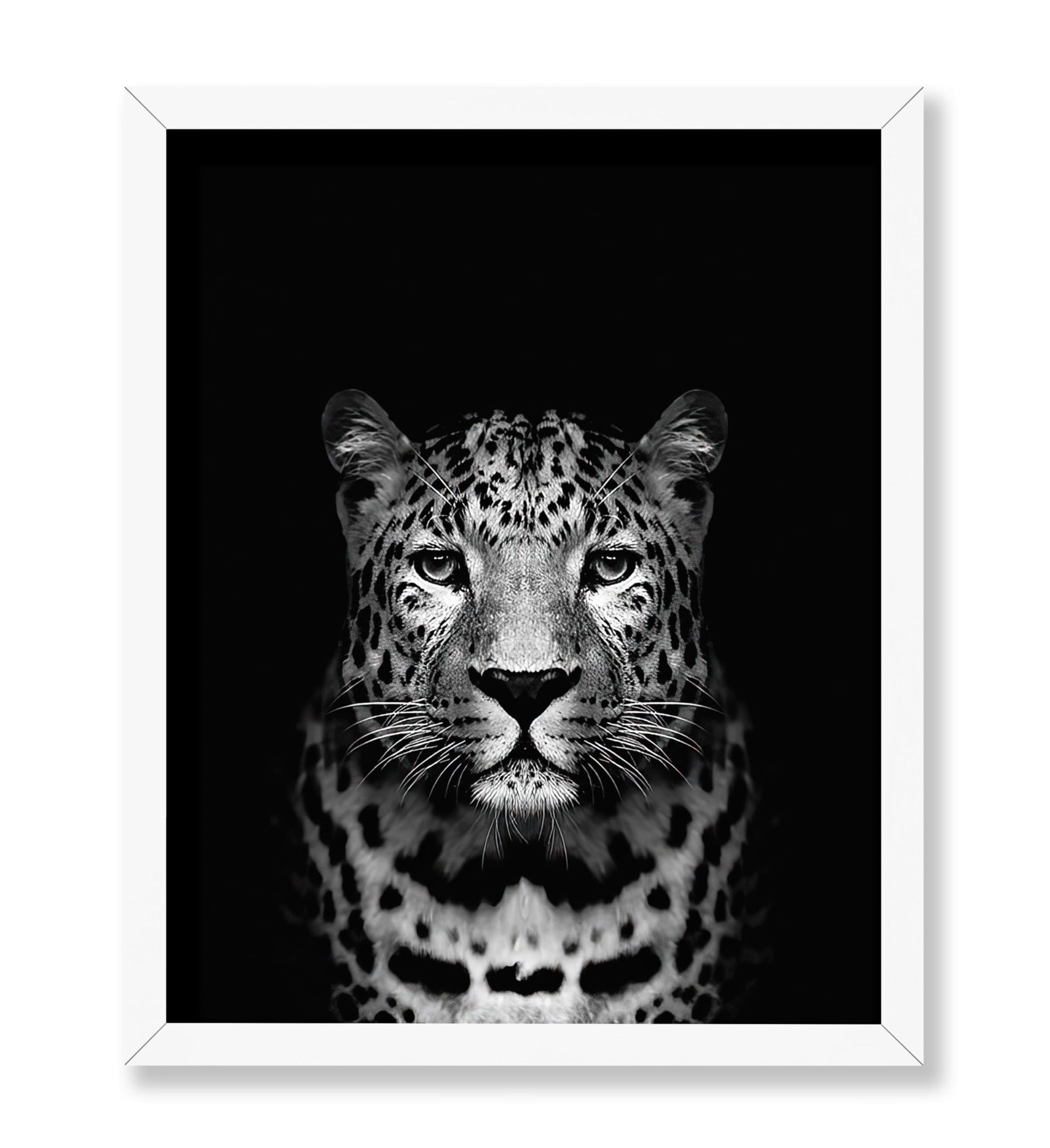 Tiger No3