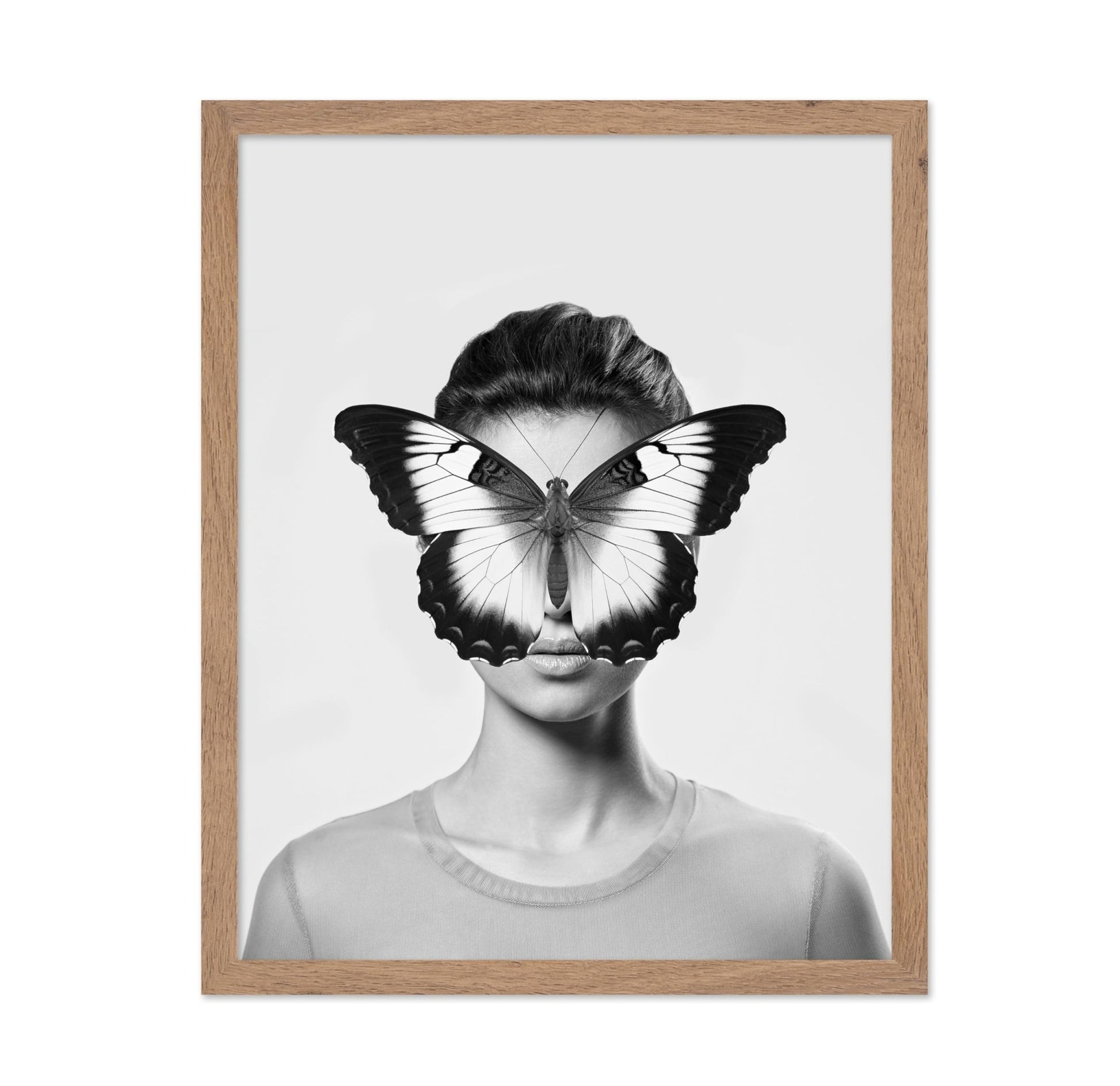 Butterfly Collage No2