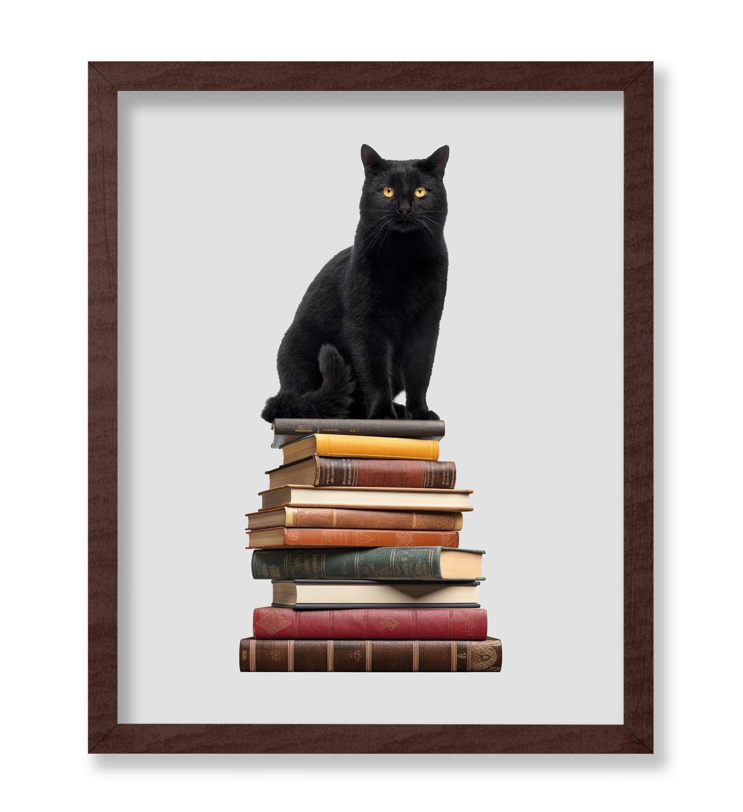 Cat & Books