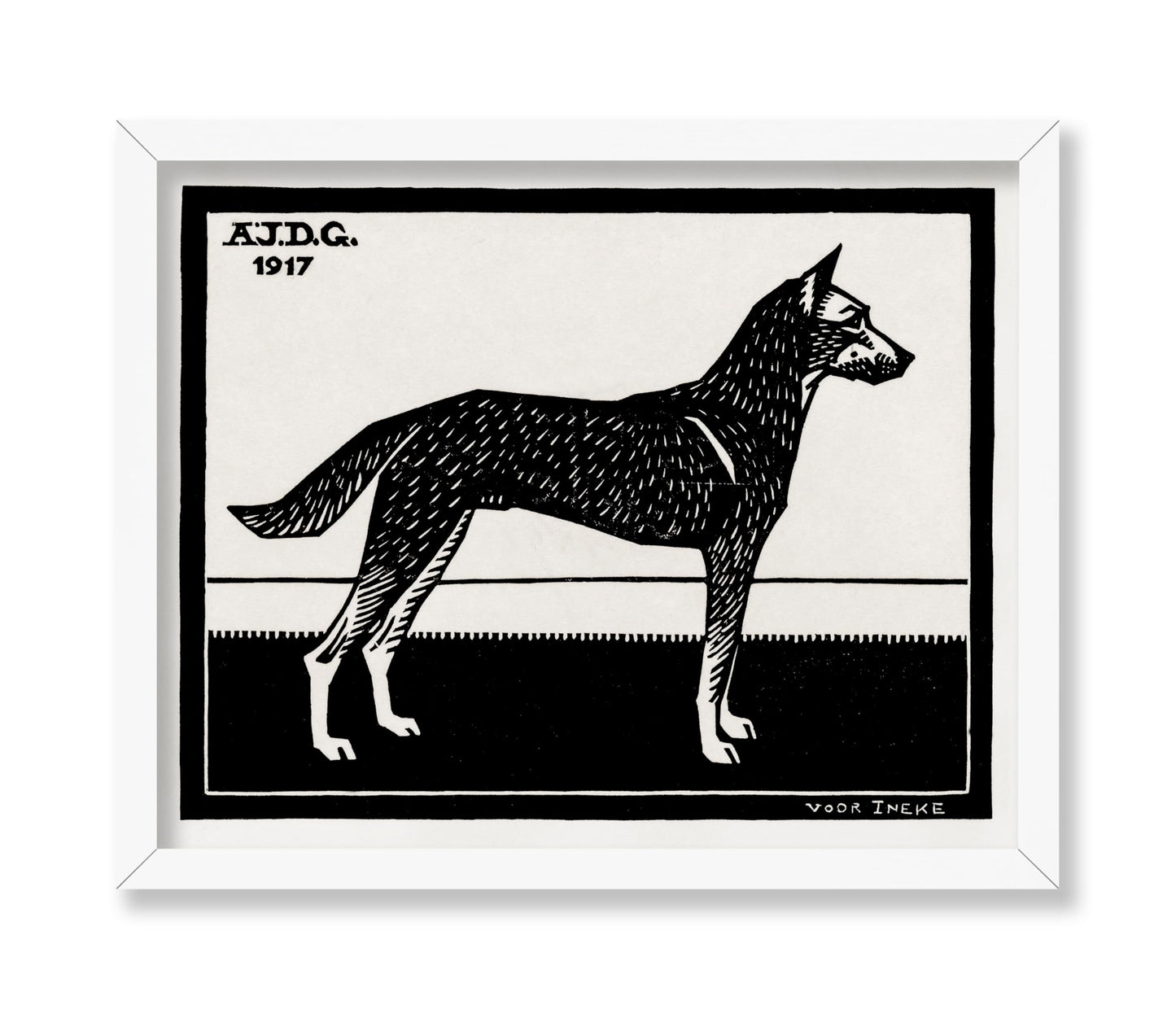 Black & White Dog