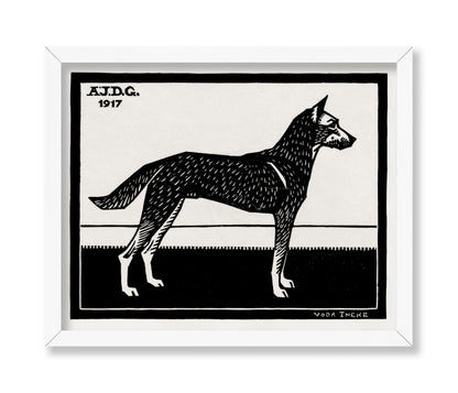 Black & White Dog