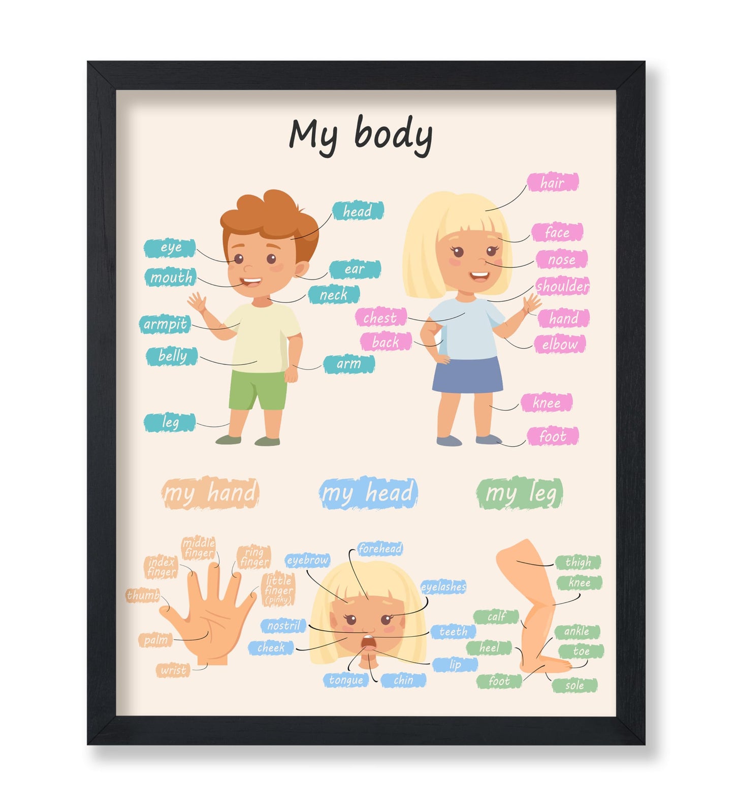 My Body