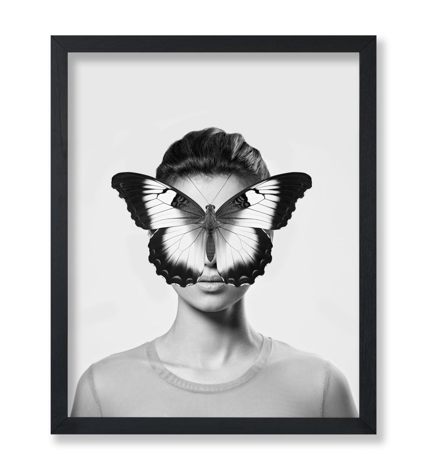 Butterfly Collage No2