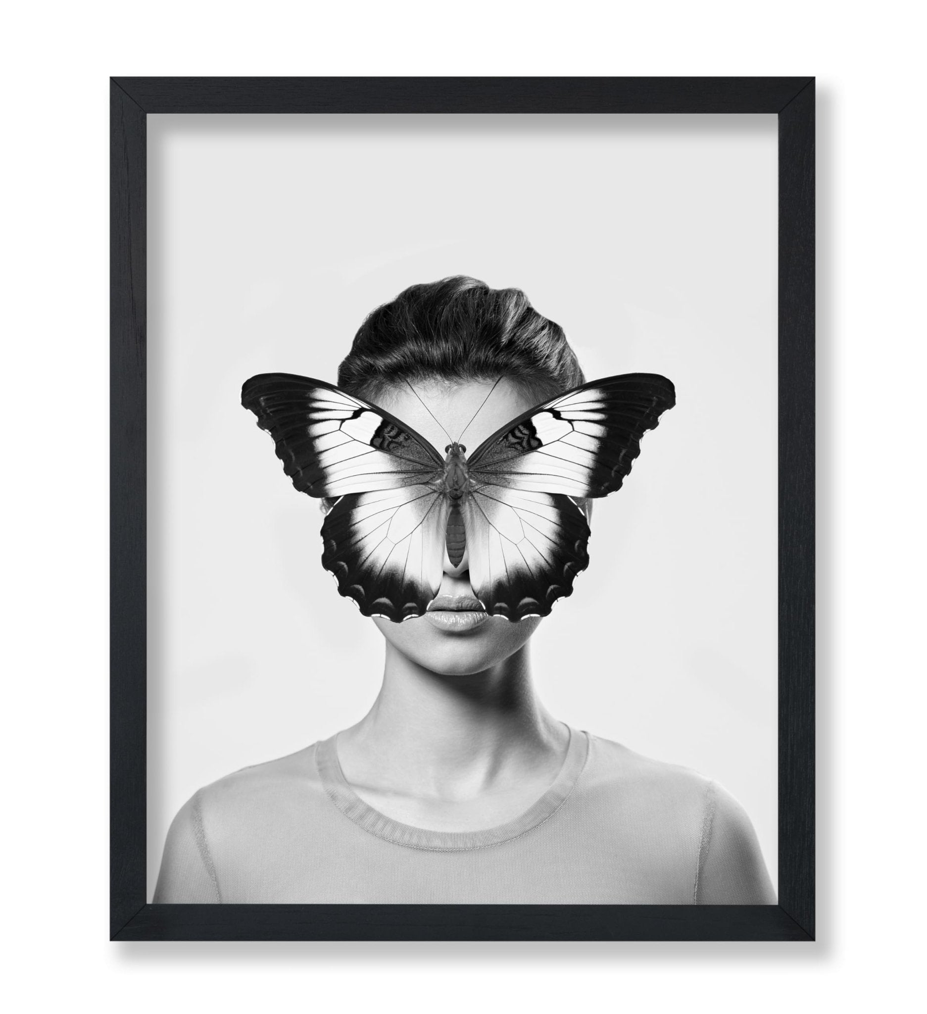 Butterfly Collage No2