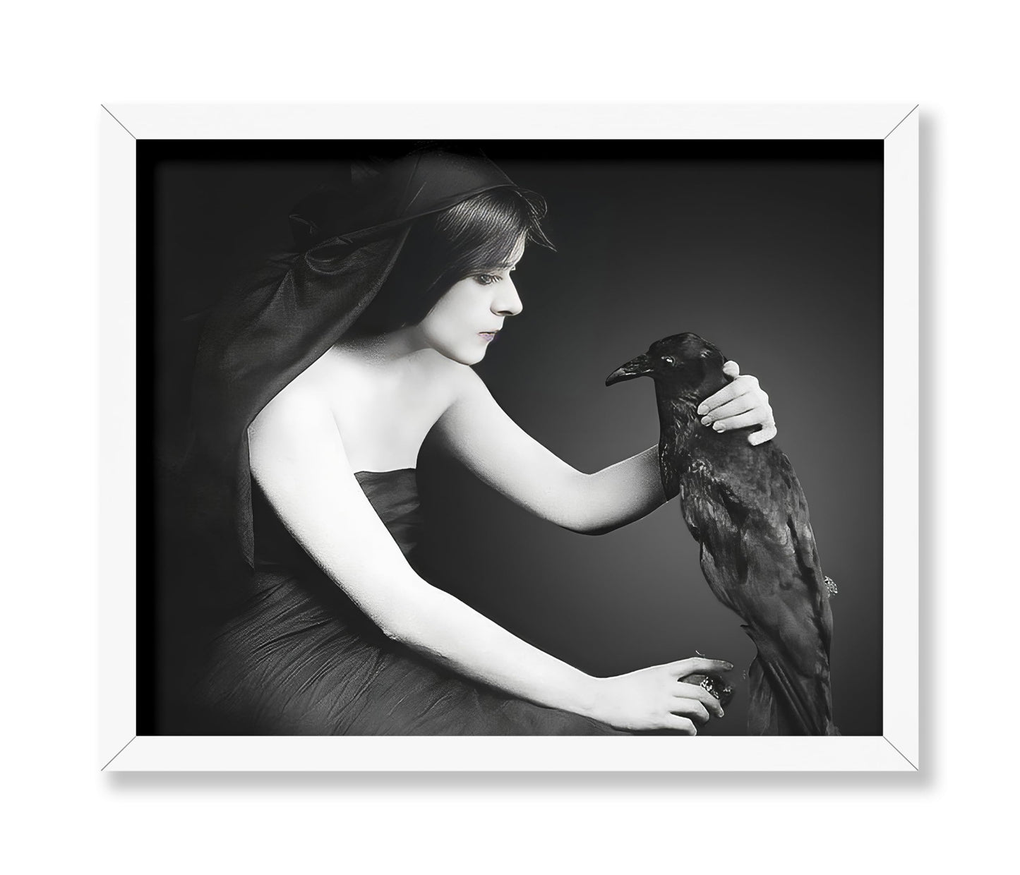 Black Raven