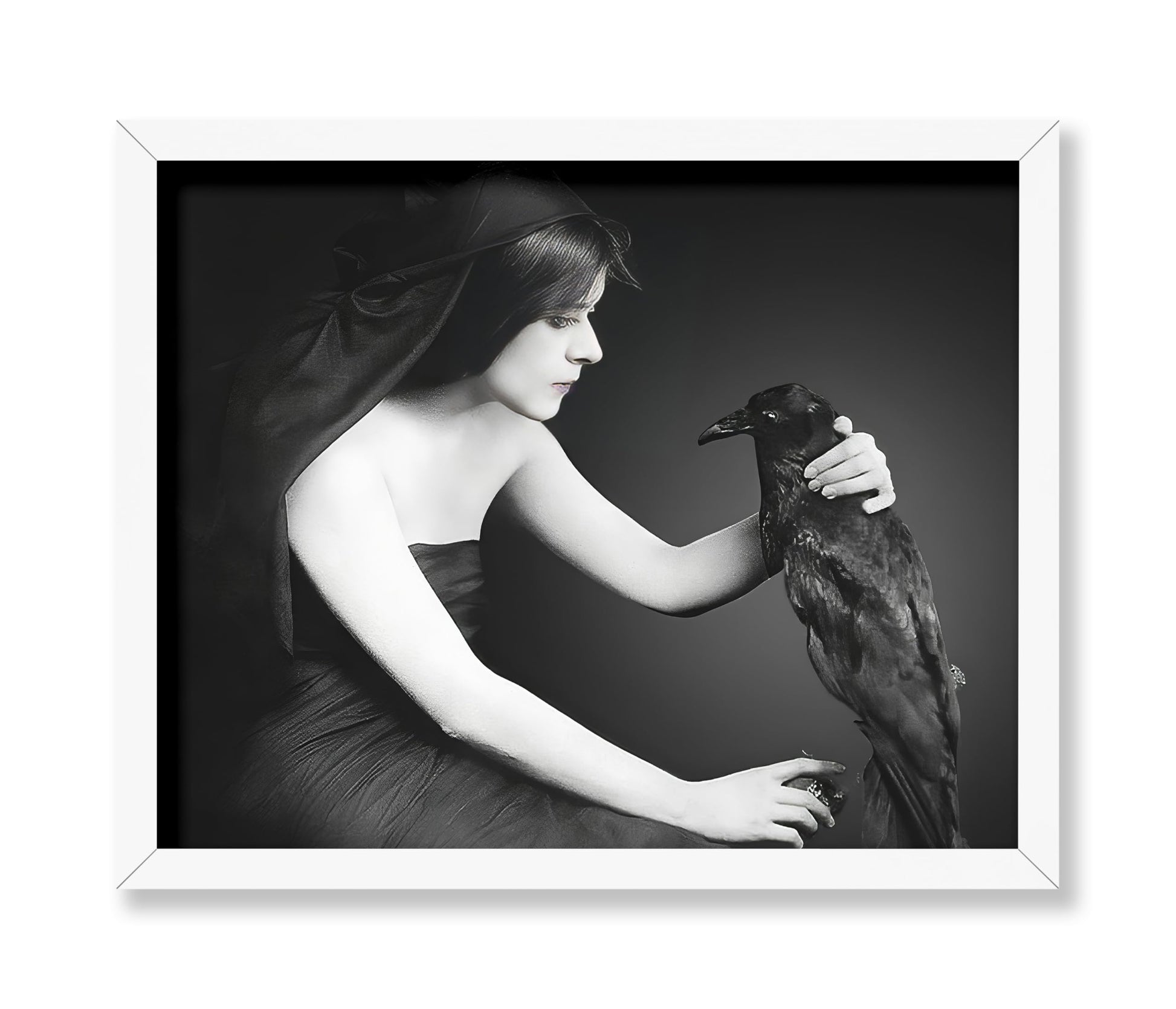 Black Raven