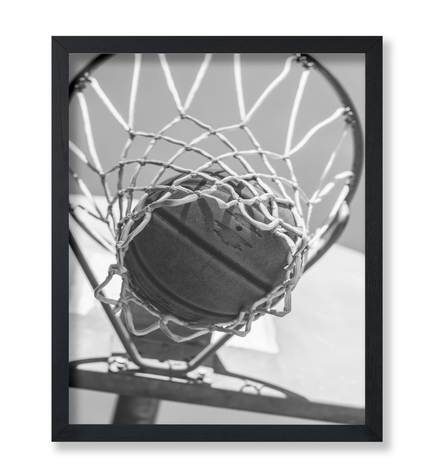 Ball in the Hoop